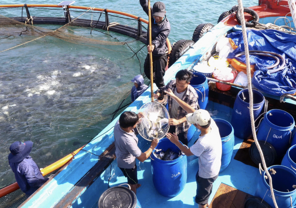 Khánh Hoà: Khát vọng biển lớn Khánh Hoà: Khát vọng biển lớn