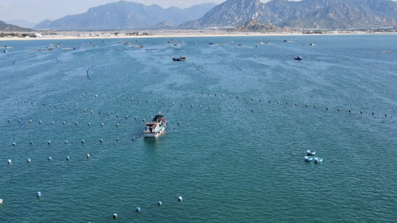 Khánh Hoà: Khát vọng biển lớn