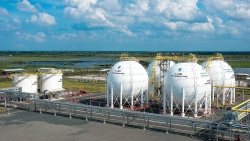 PV GAS - Đổi mới để bứt phá, kiến tạo tương lai xanh