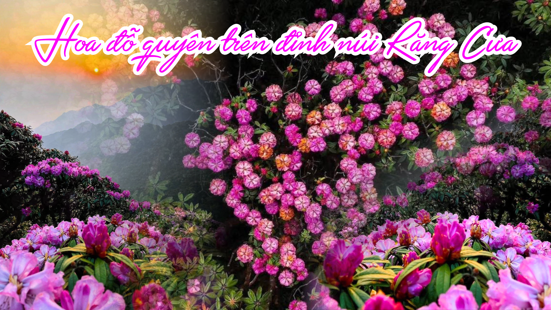 Du lịch Lai Châu gắn với sản phẩm đặc sắc Du lịch Lai Châu gắn với sản phẩm đặc sắc