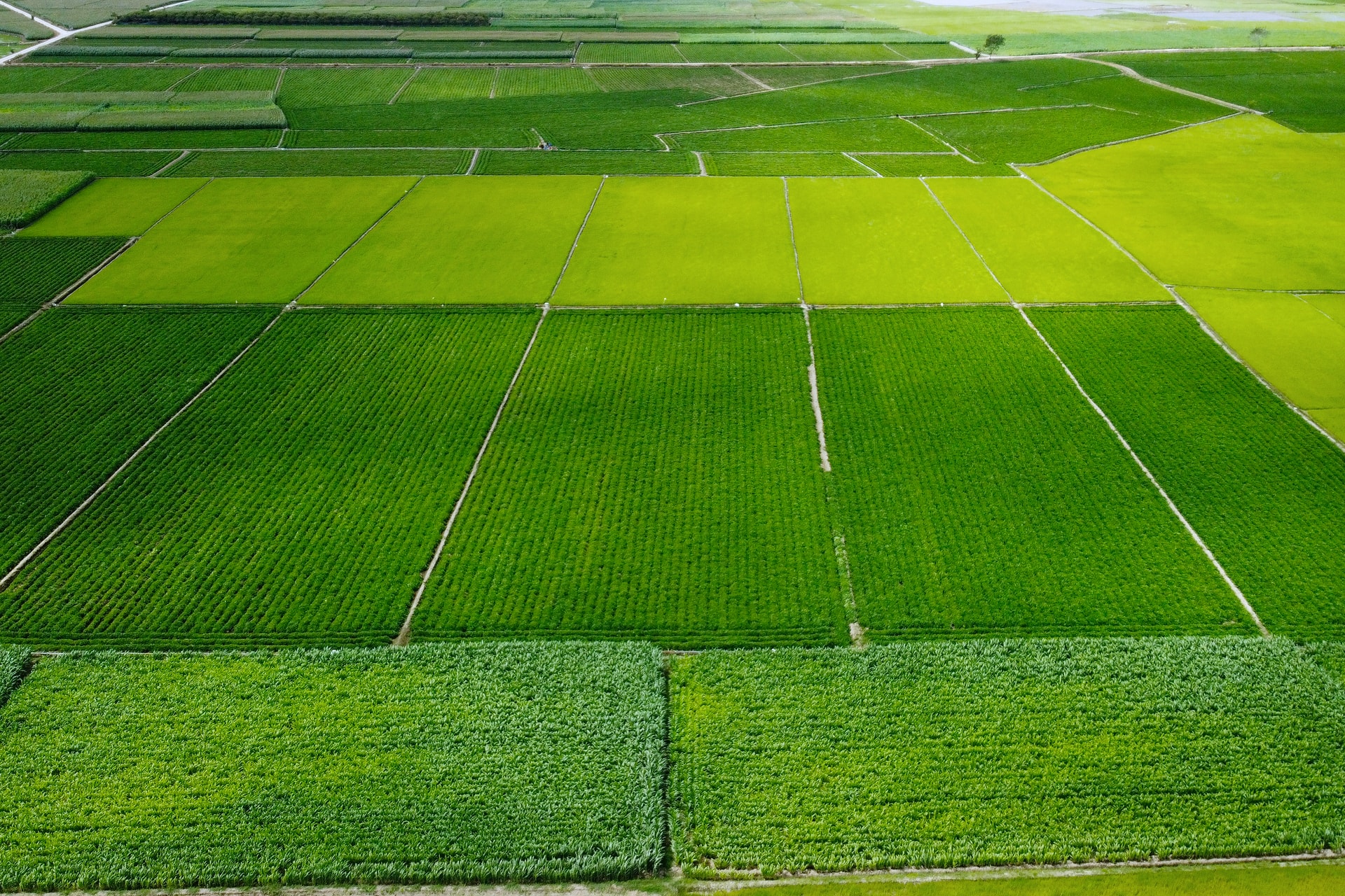 OCOP Lâm Đồng trước thời cơ bứt phá mới