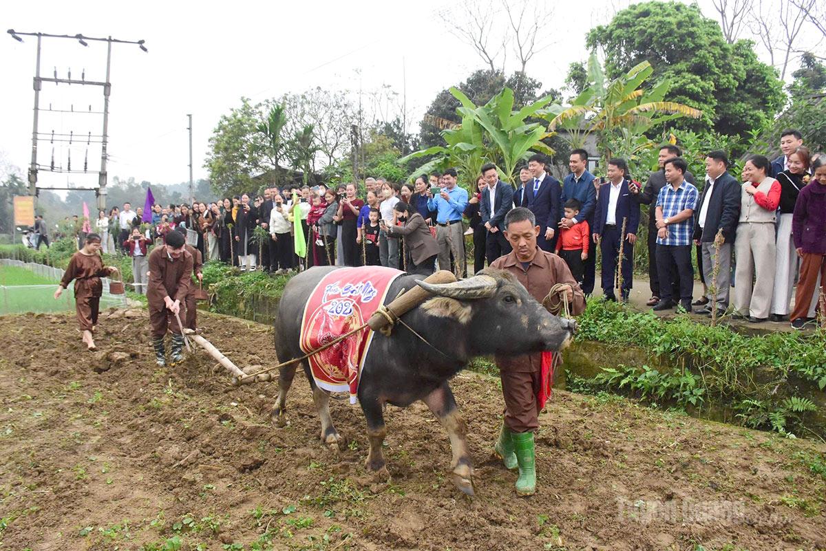 Tuyên Quang: Đông đảo nhân dân, du khách tham gia Lễ hội Đình Thọ Vực