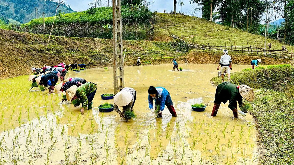 Tuyên Quang: Bắt nhịp sản xuất Tuyên Quang: Bắt nhịp sản xuất
