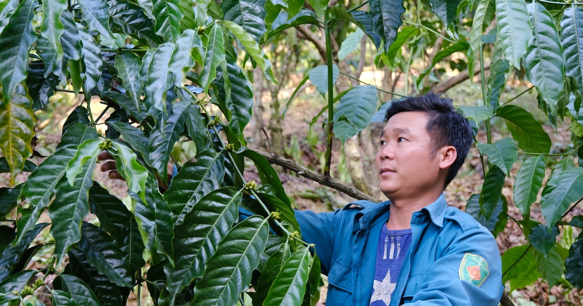 Nguồn vốn ưu đãi tiếp sức cho tuổi trẻ Nguồn vốn ưu đãi tiếp sức cho tuổi trẻ