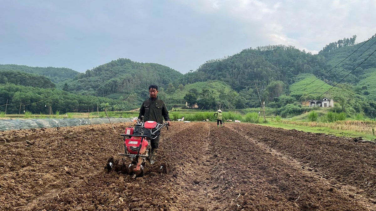 Tuyên Quang: Bắt nhịp sản xuất