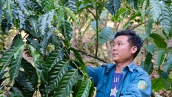 Lâm Đồng: Nguồn vốn ưu đãi tiếp sức cho tuổi trẻ