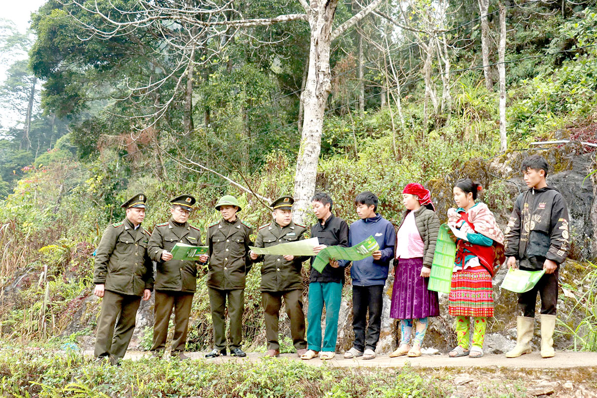 Tuyên Quang: Động lực giữ rừng bền vững