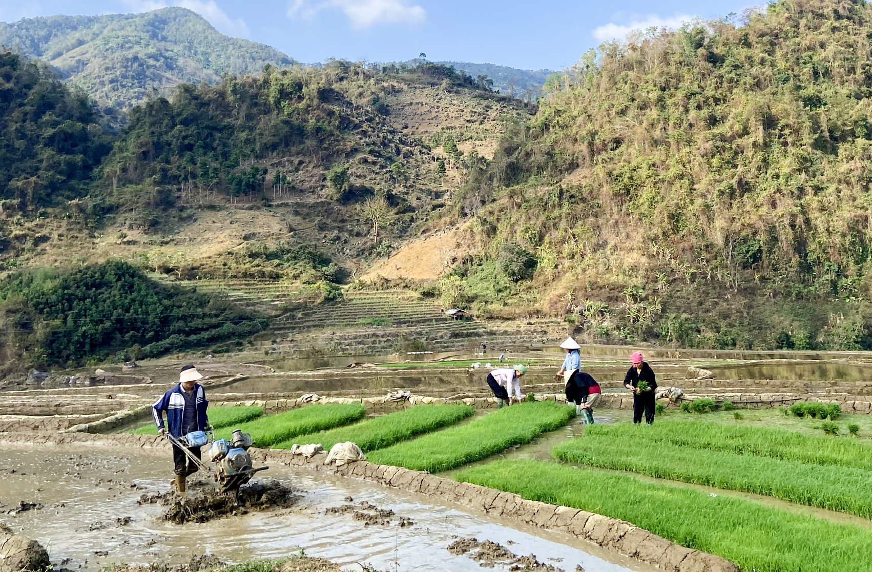 Lai Châu: Sôi nổi ra quân sản xuất nông nghiệp đầu năm Lai Châu: Sôi nổi ra quân sản xuất nông nghiệp đầu năm
