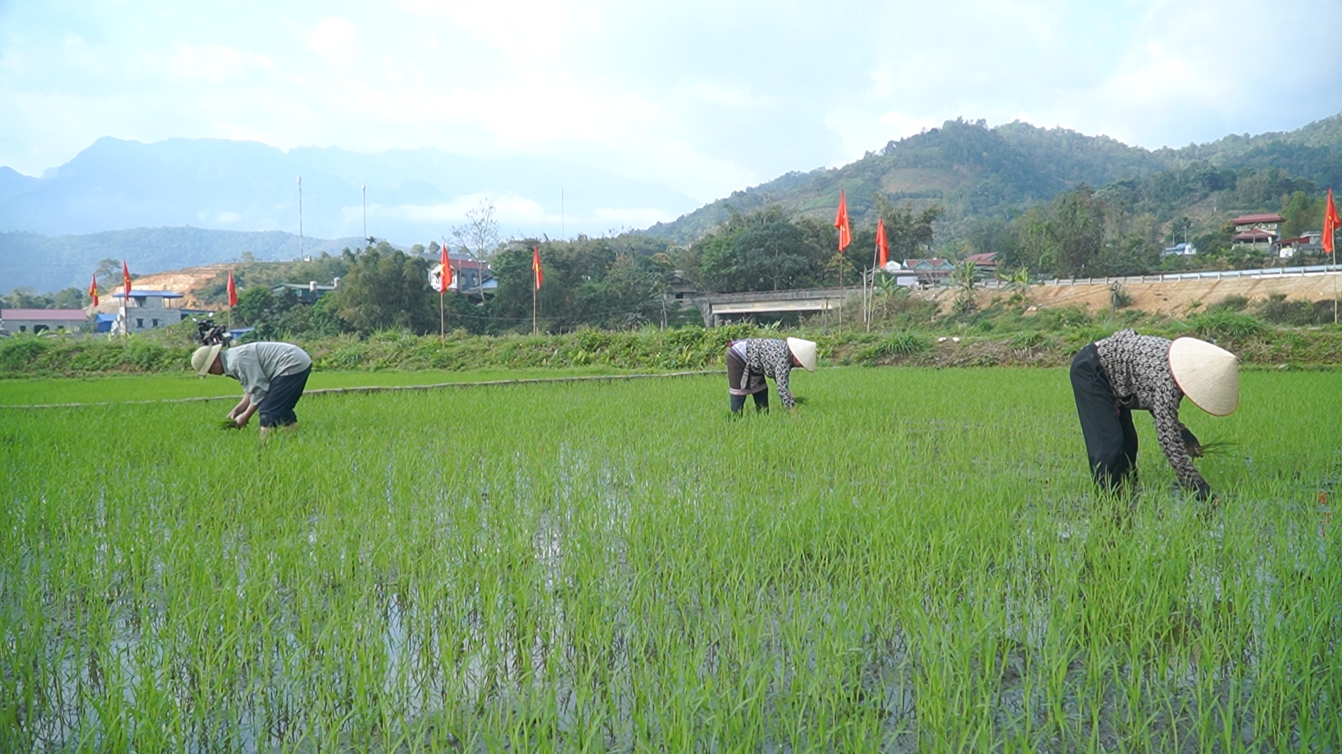 Lai Châu: Sôi nổi ra quân sản xuất nông nghiệp đầu năm