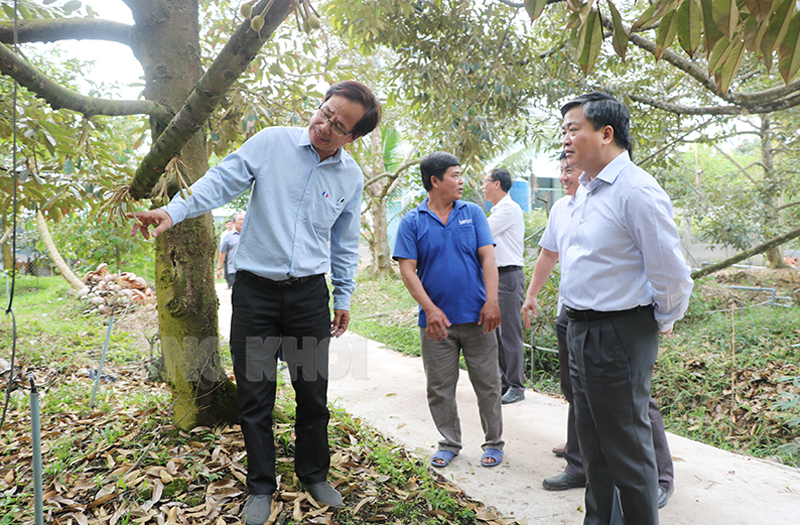 Ủy viên Trung ương Đảng - Bí thư Tỉnh ủy Lê Đức Thọ thăm vườn sầu riêng của hộ ông Huỳnh Văn Nghiệp, xã Hòa Nghĩa.