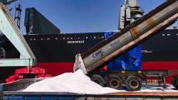 PVFCCo xuất khẩu lô hàng 19.000 tấn phân đạm
