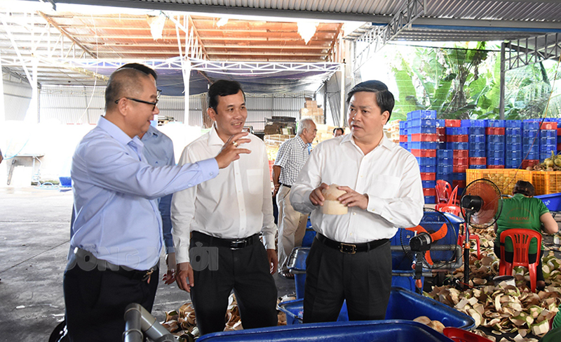 Ủy viên Trung ương Đảng - Bí thư Tỉnh ủy Lê Đức Thọ tìm hiểu quy trình sản xuất và xuất khẩu dừa uống nước của Công ty TNHH XNK Trái cây Mê Kong.