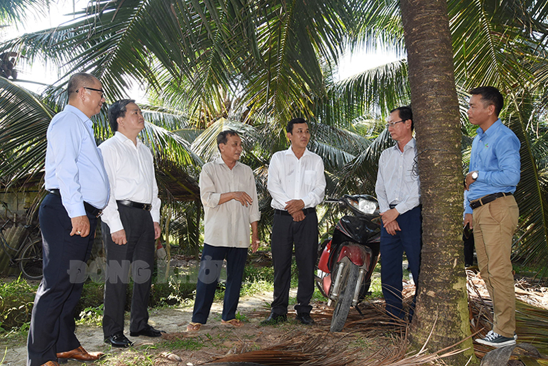 Ủy viên Trung ương Đảng - Bí thư Tỉnh ủy Lê Đức Thọ khảo sát thực tế vườn dừa của hộ ông Lê Văn An, xã Tường Đa.