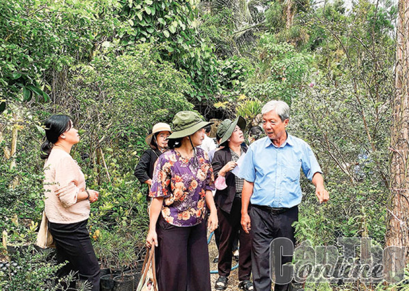 Thốt Nốt định hướng phát triển du lịch bền vững