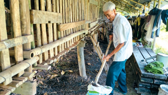 Cần Thơ: Lợi ích từ chăn nuôi theo mô hình kinh tế tuần hoàn