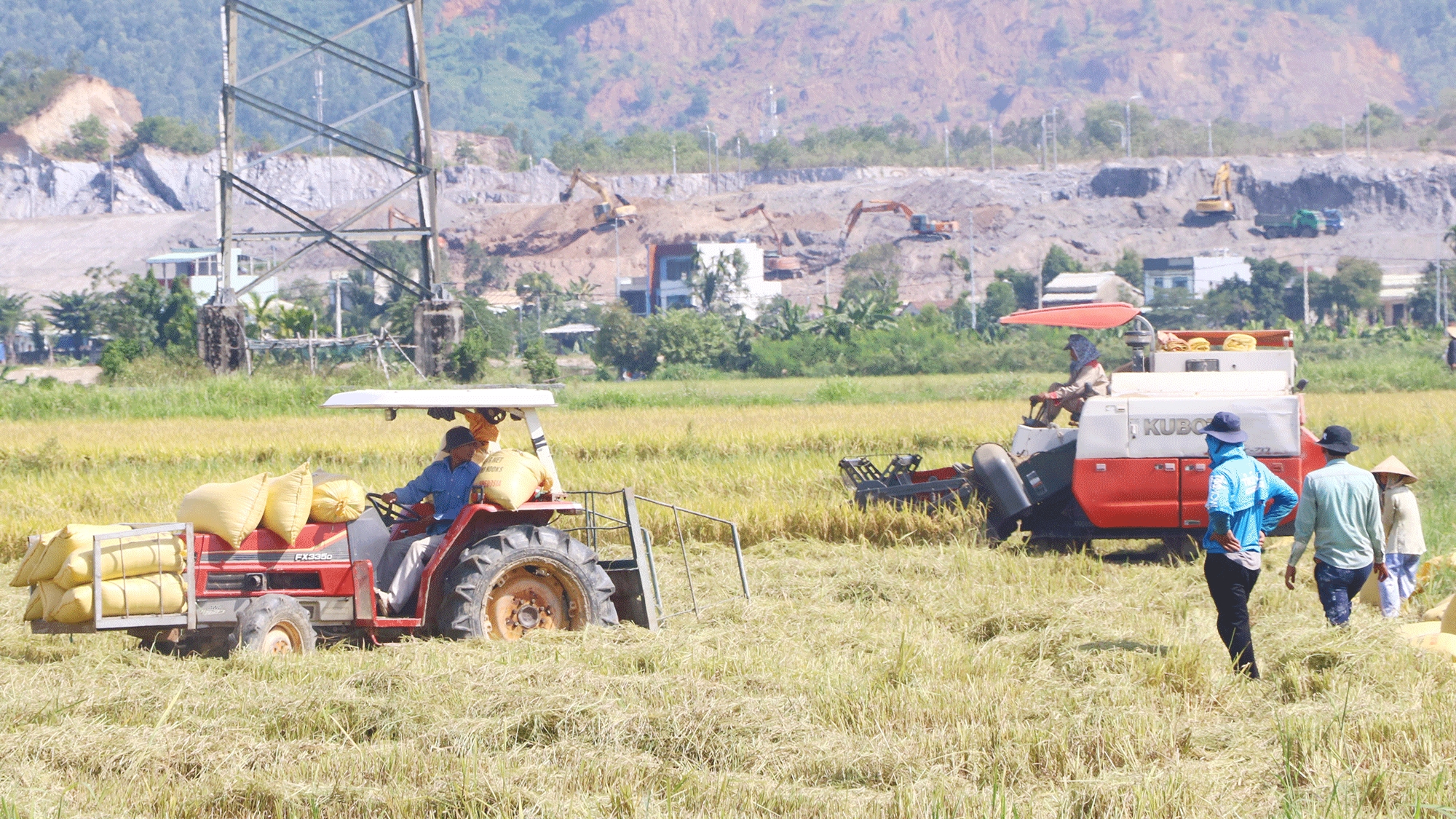 Đà Nẵng: Nâng tầm thương hiệu gạo Hòa Tiến