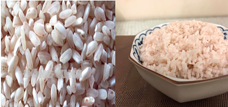 Gạo và cơm nấu từ gạo Thạnh Phú.