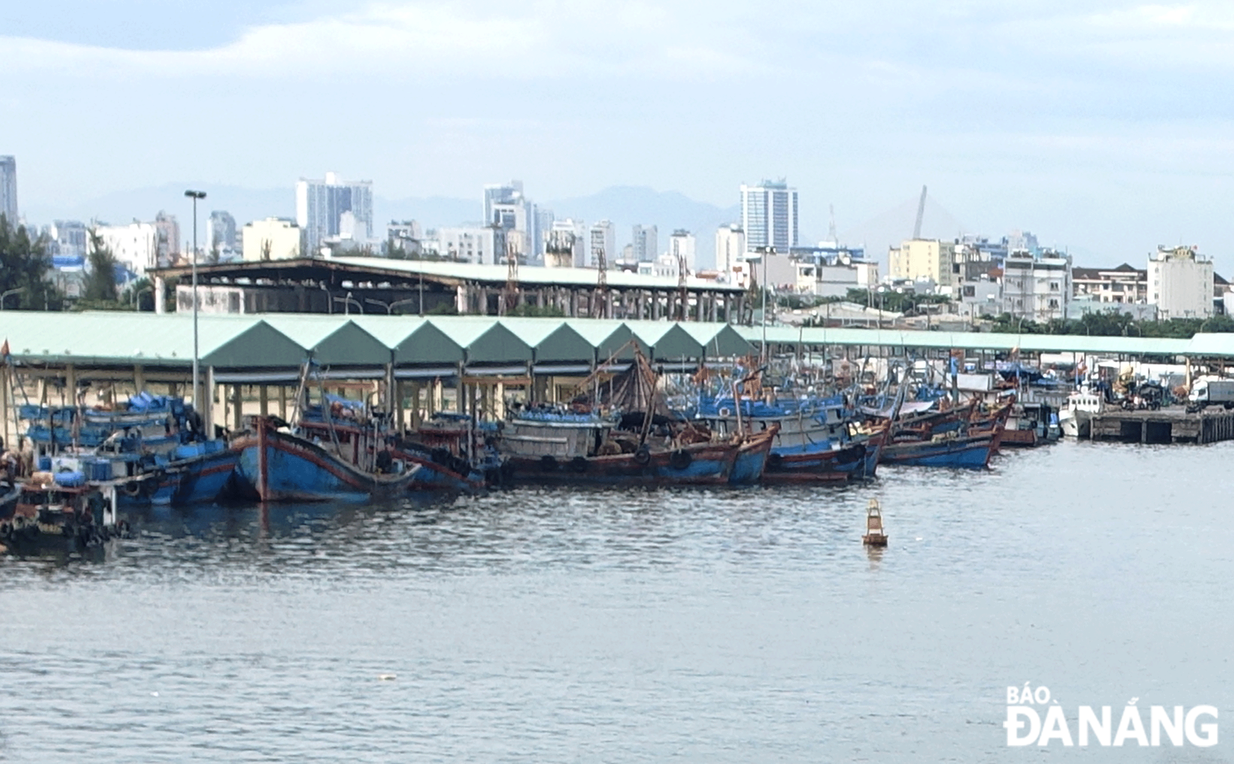 Đà Nẵng: Phát triển cảng cá Thọ Quang gắn với hình thành địa điểm du lịch