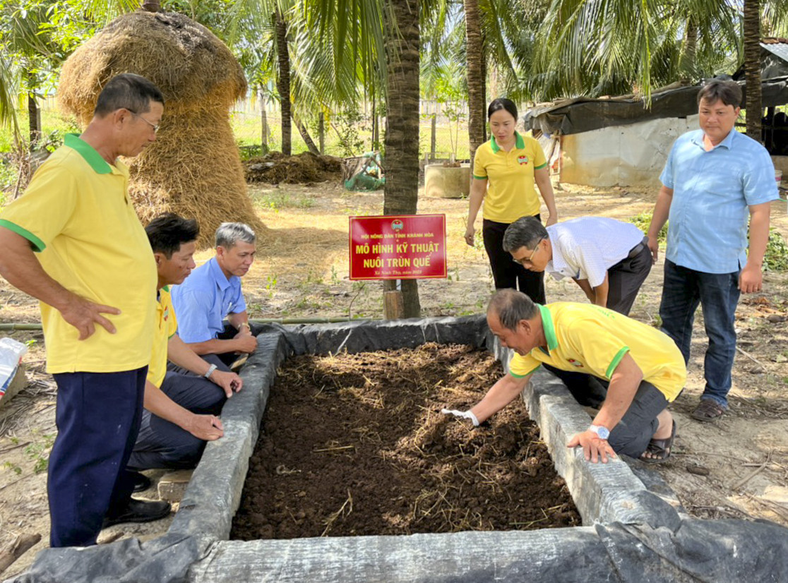 Khánh Hòa: Xanh hóa môi trường sản xuất nông nghiệp