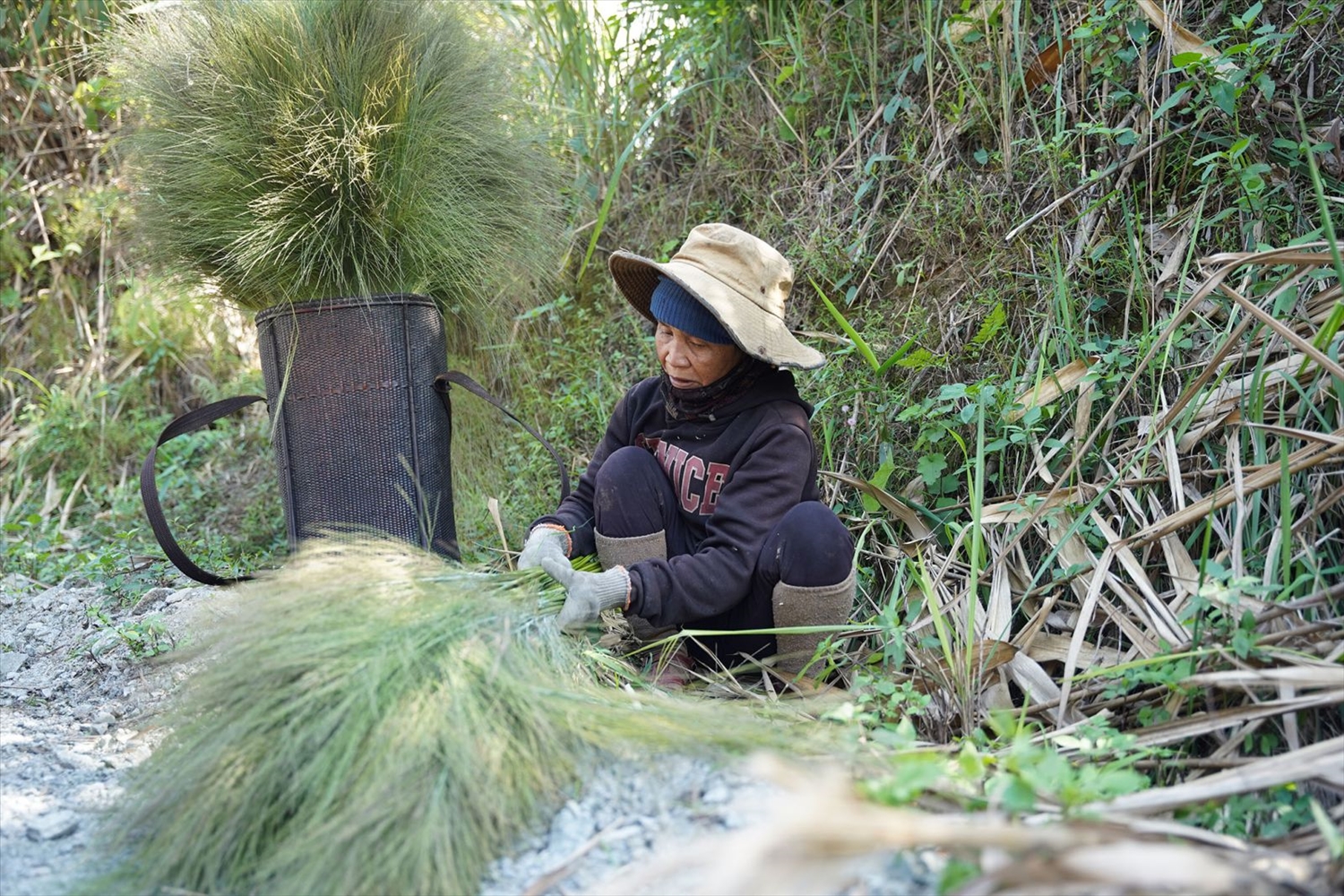 Mùa đót trên dãy Trường Sơn...