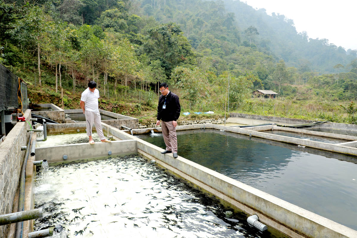 Hà Giang: Điểm sáng vùng biên