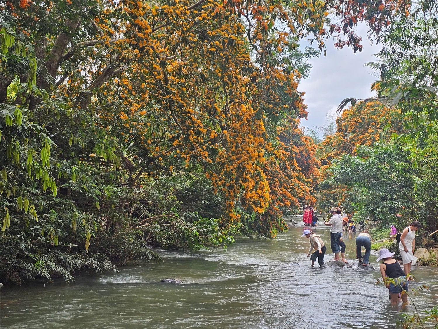 Đánh thức tiềm năng du lịch Vĩnh Thạnh