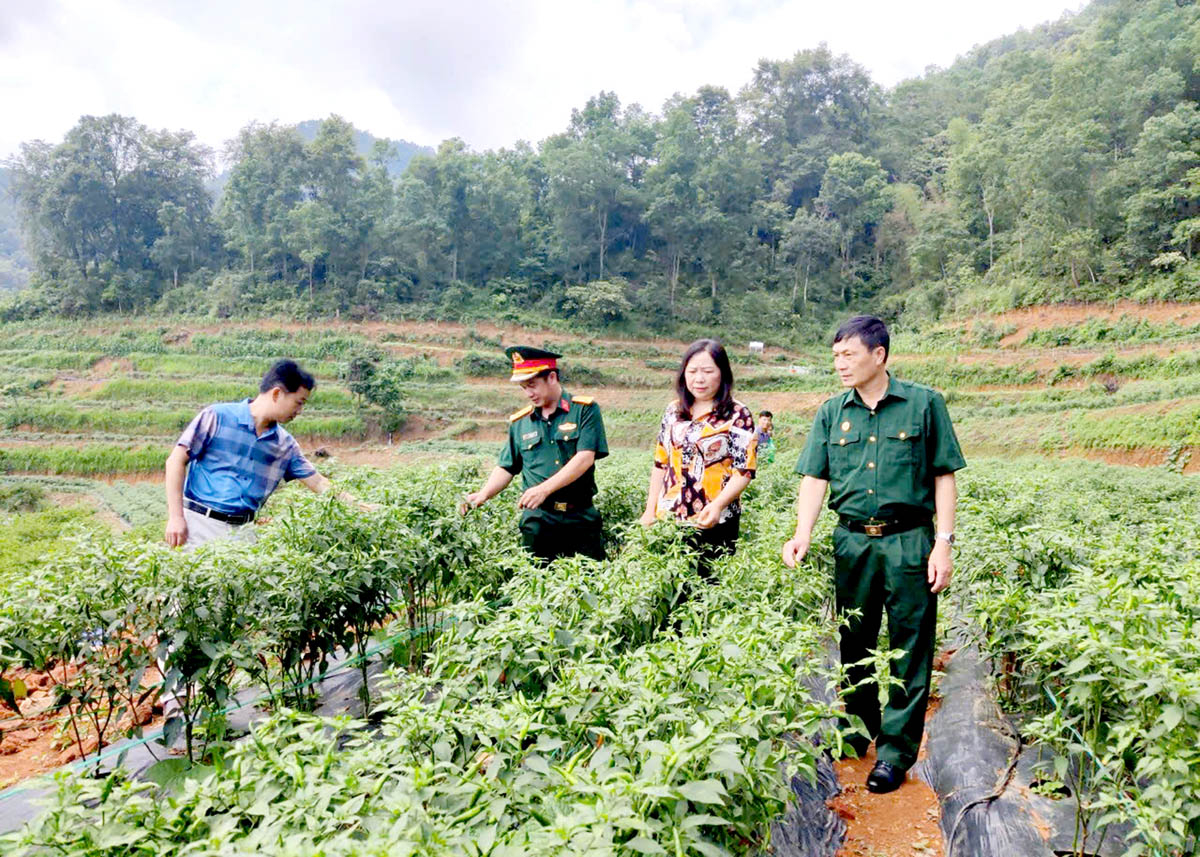 Hà Giang: Tạo chuyển biến tư duy sản xuất nông nghiệp