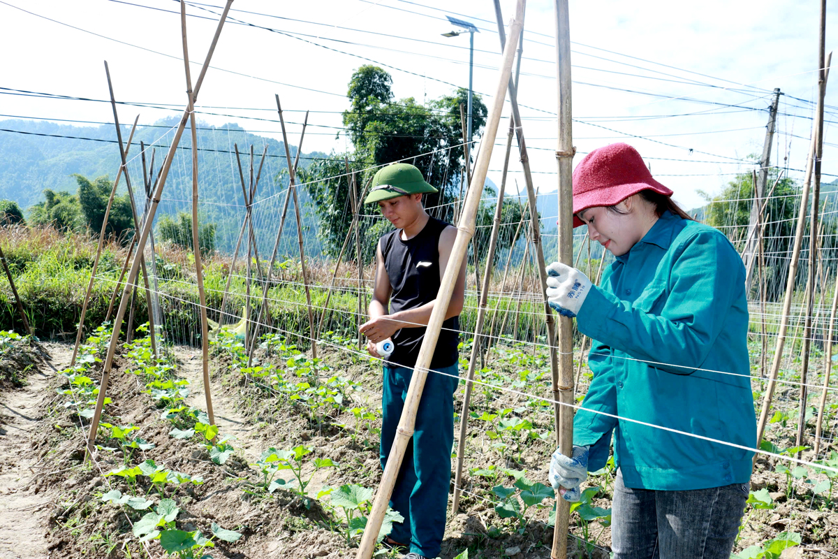 Hà Giang: Tạo chuyển biến tư duy sản xuất nông nghiệp