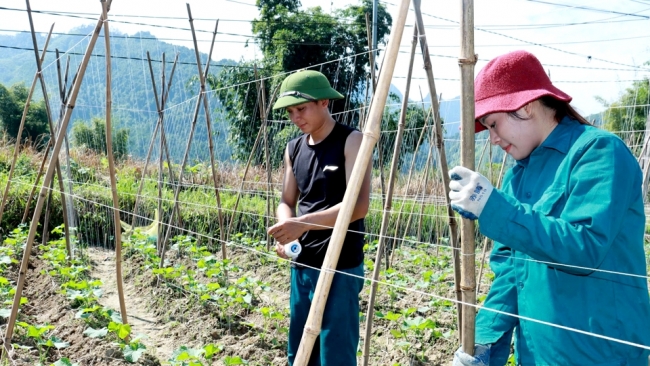 Hà Giang: Tạo chuyển biến tư duy sản xuất nông nghiệp