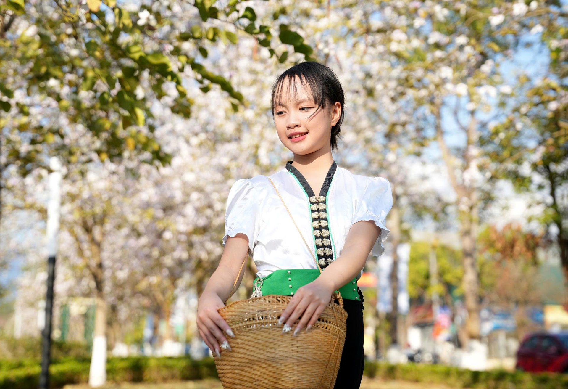 Rực rỡ mùa hoa ban ở Lai Châu