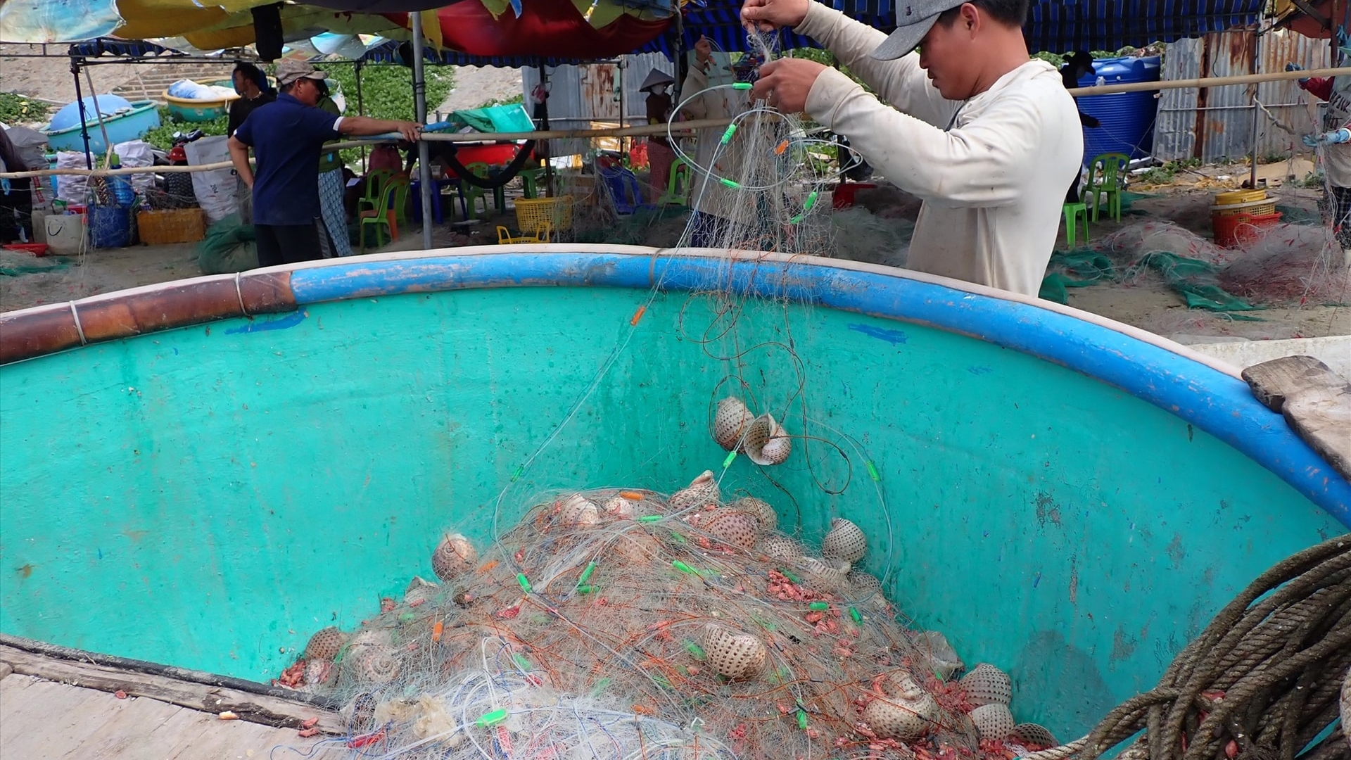 Ngư dân Lâm Ðồng trúng ốc mè