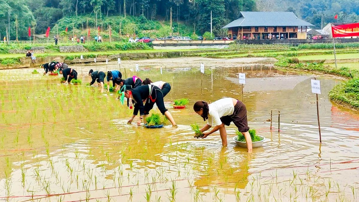 Tuyên Quang: Lễ hội Lồng Tông xã Vị Xuyên Xuân Bính Ngọ năm 2026