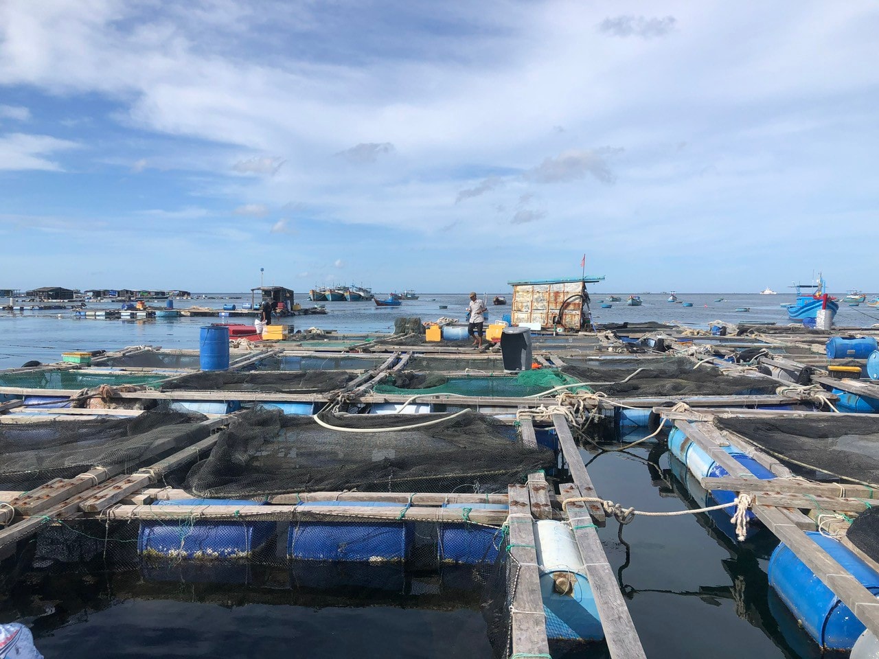 Lâm Đồng: Thiết lập hệ sinh thái thủy sản mới trên biển Lâm Đồng: Thiết lập hệ sinh thái thủy sản mới trên biển