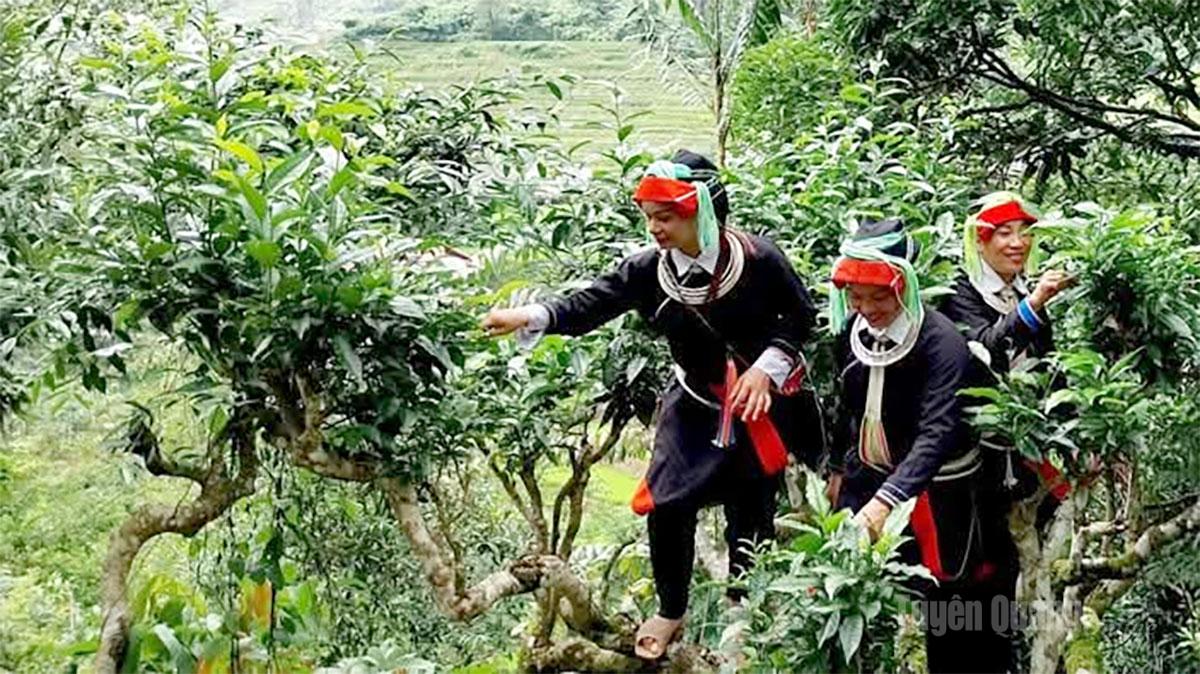 Tuyên Quang: Đột phá từ tư duy xanh và công nghệ số