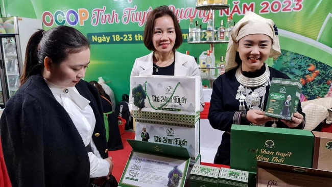 Tuyên Quang: Đột phá từ tư duy xanh và công nghệ số