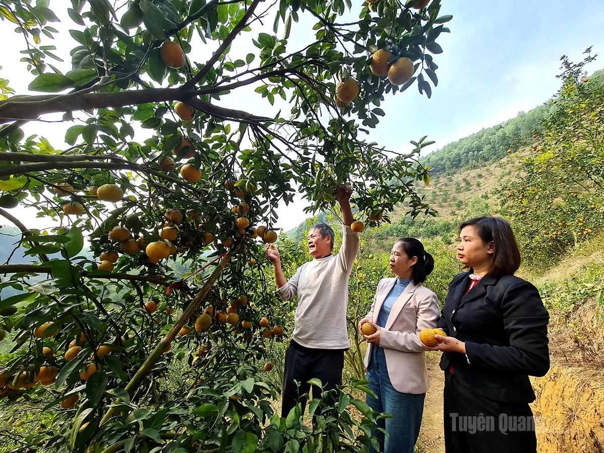 Tuyên Quang: Đột phá từ tư duy xanh và công nghệ số