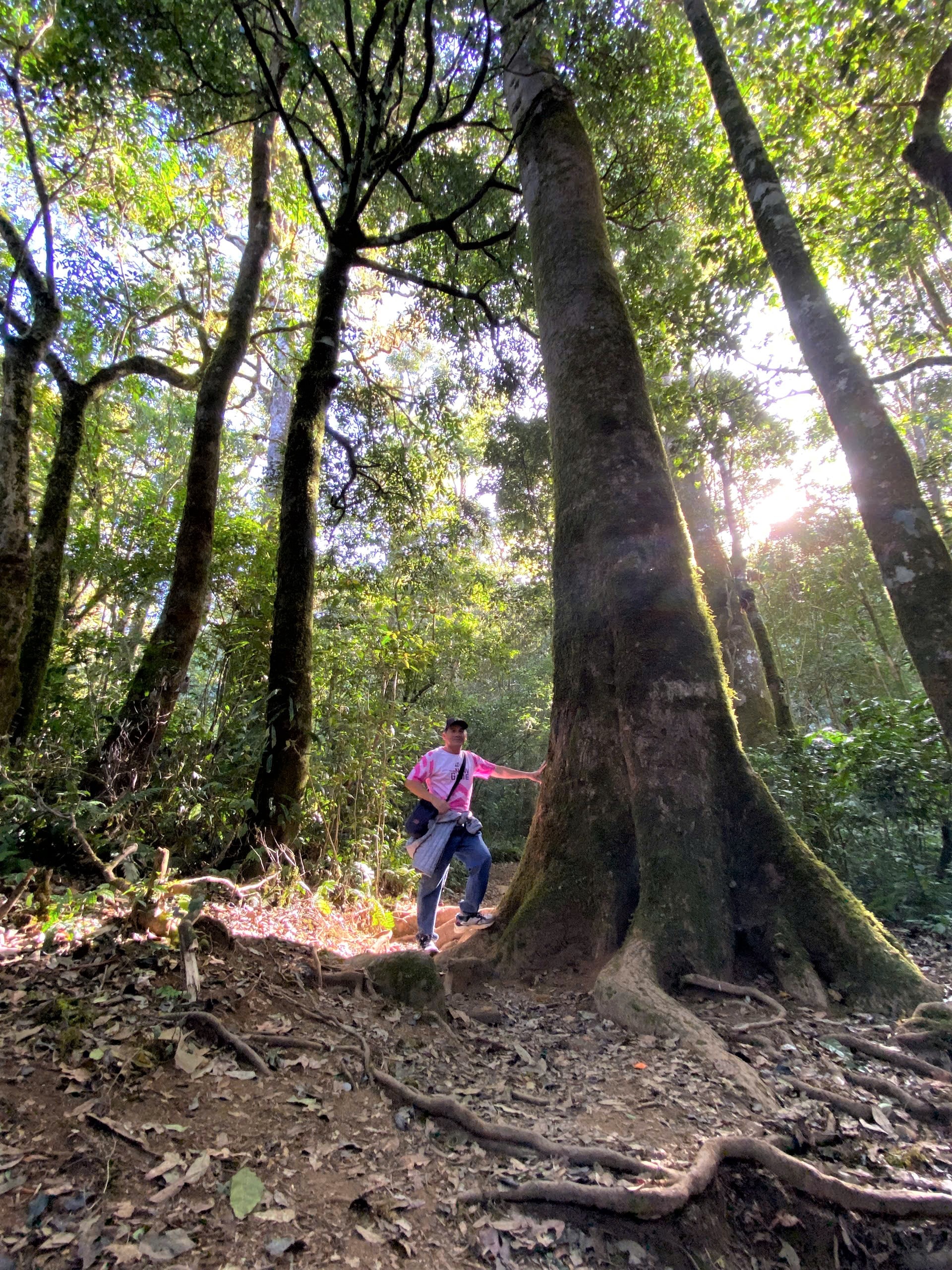 Lâm Đồng: Khám phá cung đường leo núi xuyên rừng đẹp nhất Đà Lạt