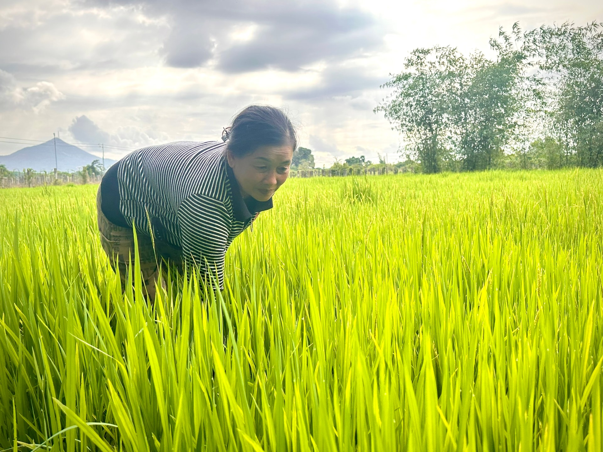 Lâm Đồng: Những “bóng hồng” gieo lại mầm xanh
