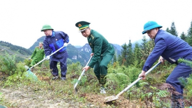 Tuyên Quang: Trồng hơn 3.000 cây xanh xây dựng “Vành đai xanh biên giới”