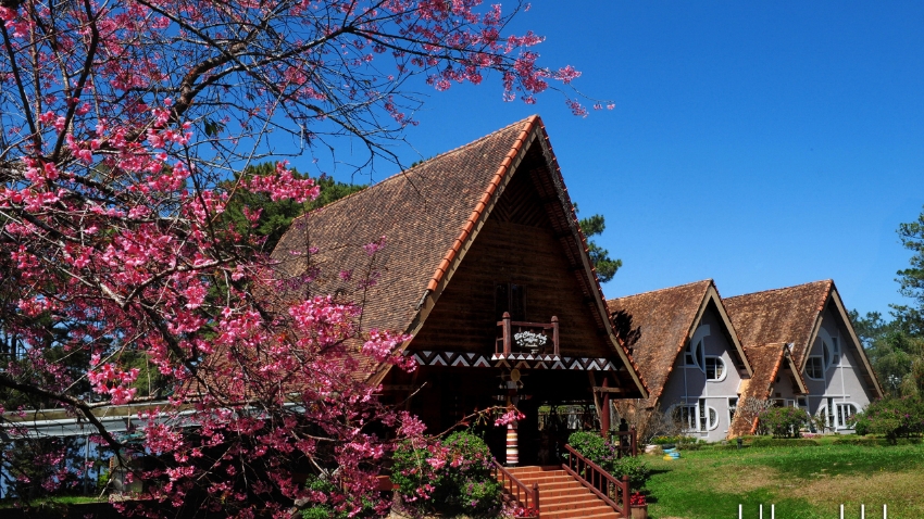 Nhiếp ảnh Lâm Đồng quảng bá vẻ đẹp từ đại ngàn đến biển xanh