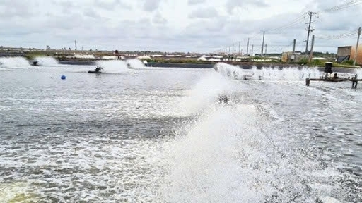 Cần Thơ chú trọng chuyển đổi số trong công tác quản lý nuôi trồng, khai thác thủy sản