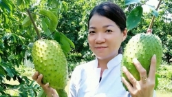 Cần Thơ: Từ trái mãng cầu quê nhà đến thương hiệu trà OCOP chuẩn 4 sao