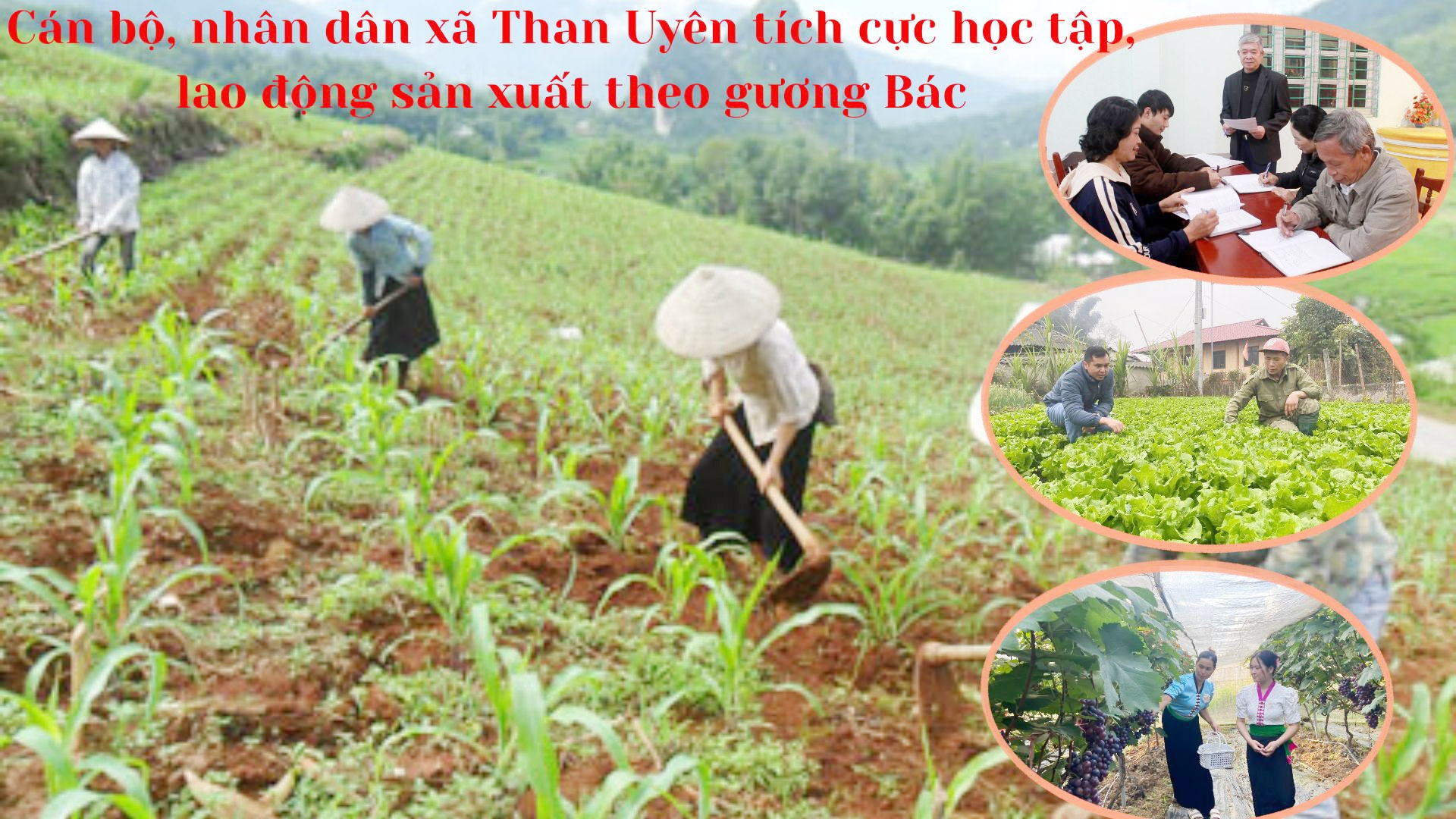 Lai Châu: Đưa việc học và làm theo Bác vào cuộc sống