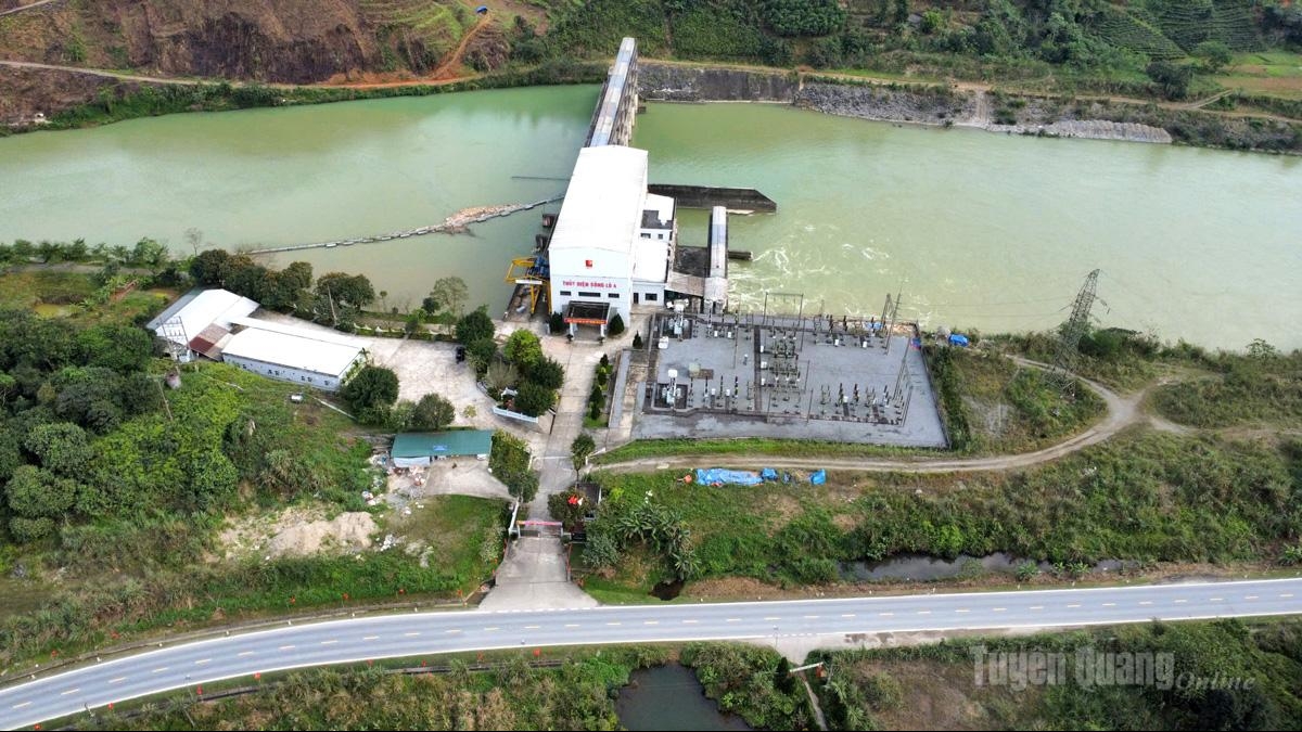 Tuyên Quang: Nhân lên màu xanh hy vọng