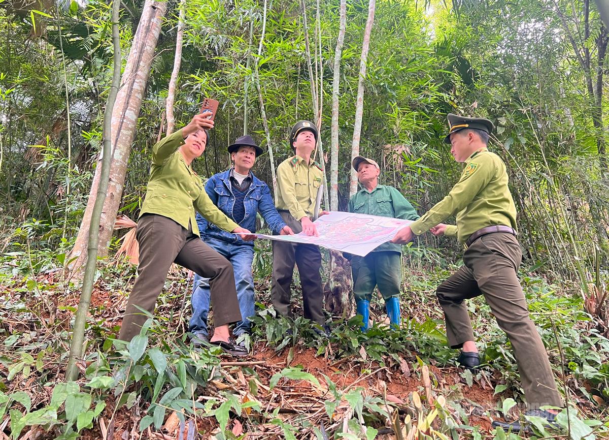 Tuyên Quang: Nhân lên màu xanh hy vọng
