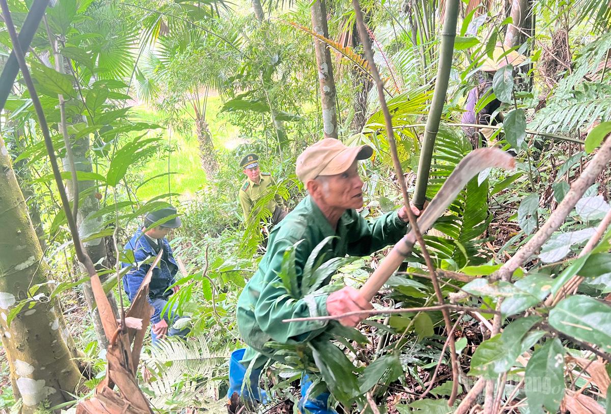 Tuyên Quang: Nhân lên màu xanh hy vọng