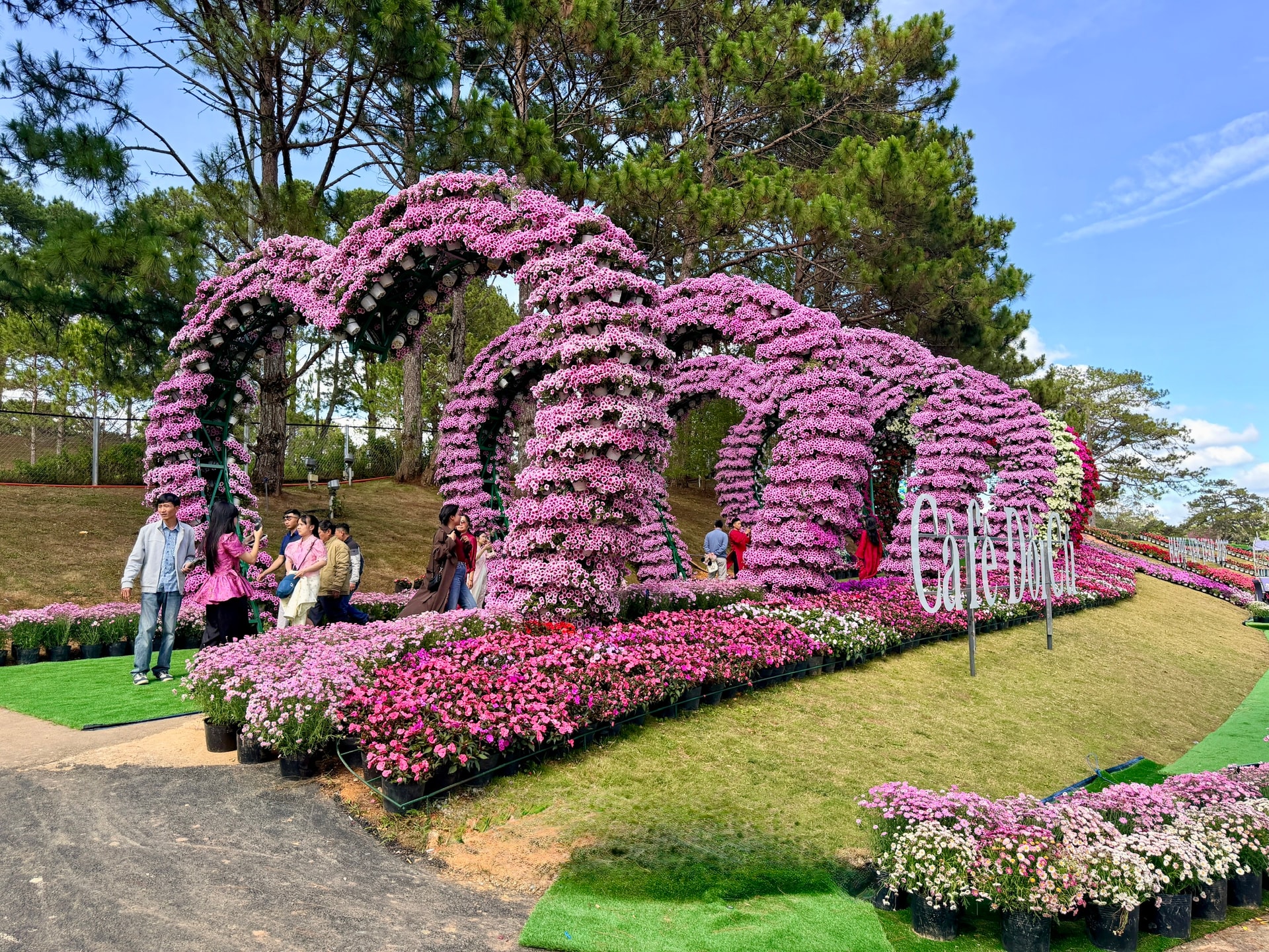 Khu vực dịch vụ bứt tốc, động lực tăng trưởng cho kinh tế Lâm Đồng Khu vực dịch vụ bứt tốc, động lực tăng trưởng cho kinh tế Lâm Đồng