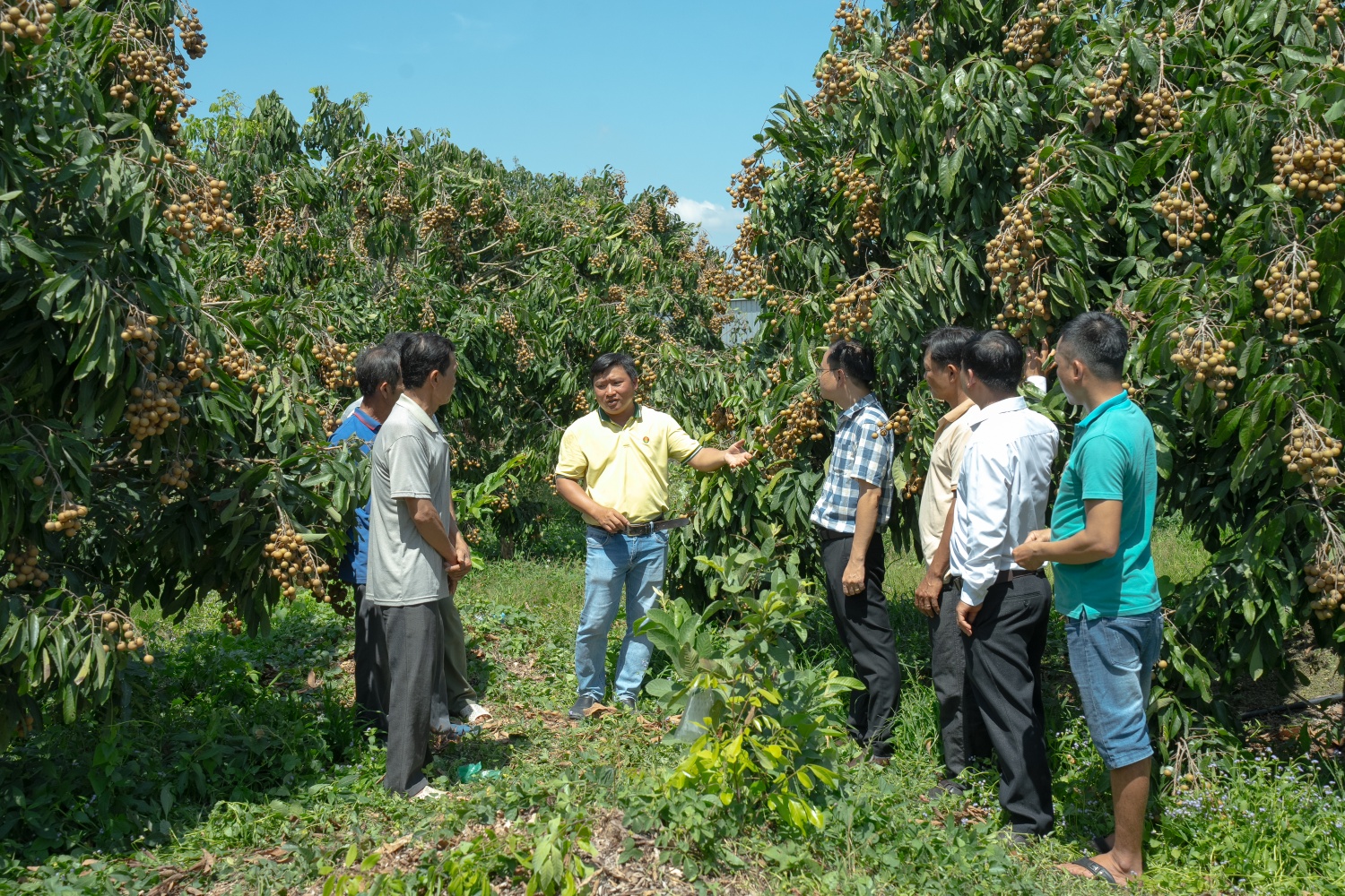 Phân bón Cà Mau: Tính trước mùa vụ để vững chãi “mùa vàng” Phân bón Cà Mau: Tính trước mùa vụ để vững chãi “mùa vàng”