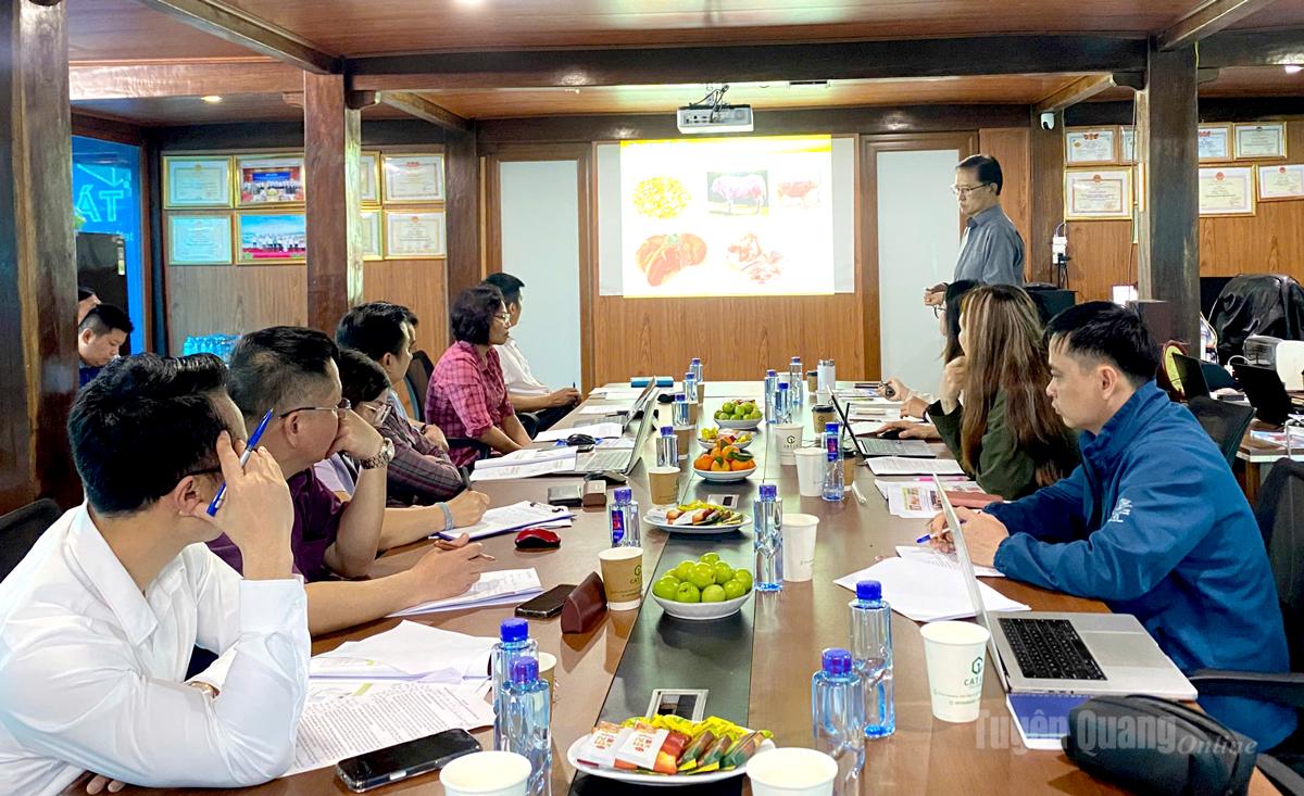 Tuyên Quang: Hợp tác quốc tế nâng tầm thương hiệu bò vàng H’Mông Tuyên Quang: Hợp tác quốc tế nâng tầm thương hiệu bò vàng H’Mông