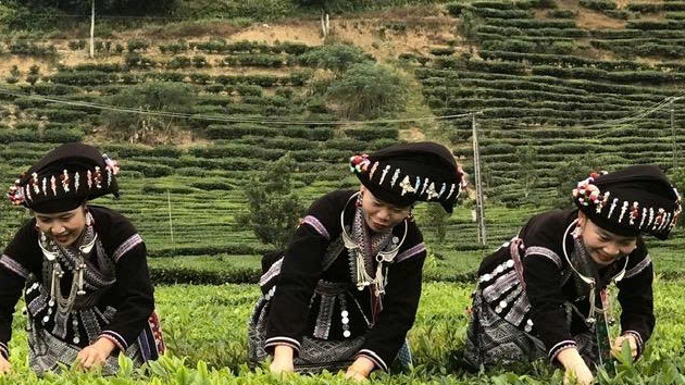 Lai Châu: Xây dựng nông thôn mới từ thế mạnh địa phương